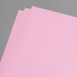 Clairefontaine Trophée 80 g Heckenrose