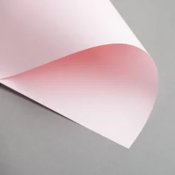 Clairefontaine Trophée Pastell 160 g/m² DIN A4 Rosa