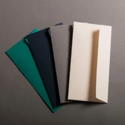 Colorplan Briefumschläge DIN lang 25 Stk.