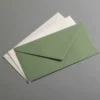 Colorplan Briefumschläge DIN lang spitze Klappe
