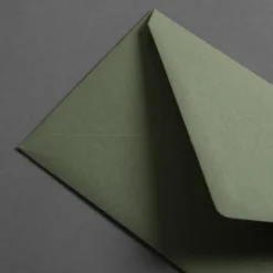 Colorplan Briefumschläge DIN lang spitze Klappe Olivgrün