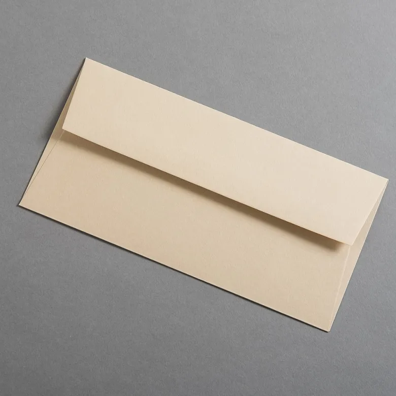 Colorplan Briefumschläge DIN lang Walnuss
