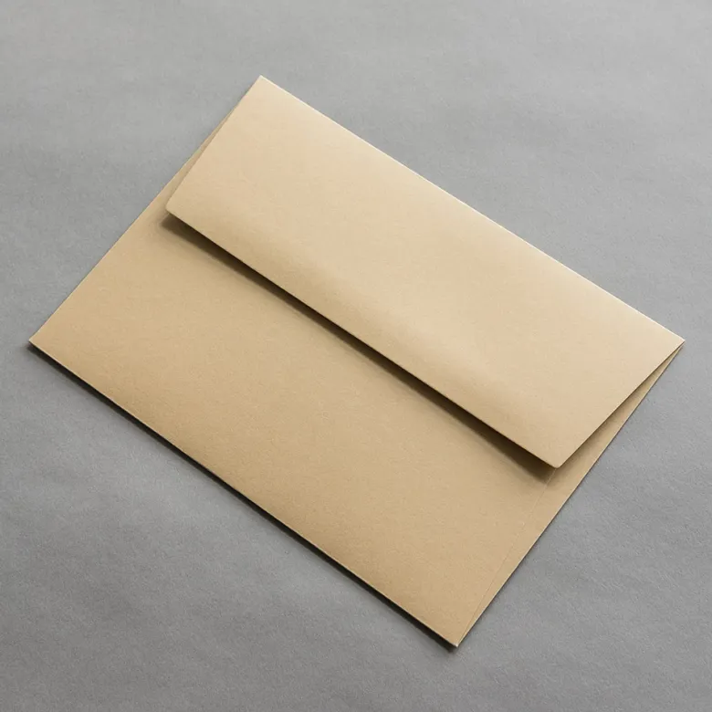 Colorplan Briefumschläge DIN C5 Cappuccino