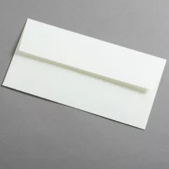 Colorplan Briefumschläge DIN lang Natur