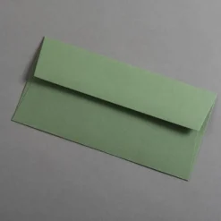 Colorplan Briefumschläge DIN lang Olivgrün