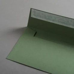 Colorplan Briefumschläge DIN lang Olivgrün