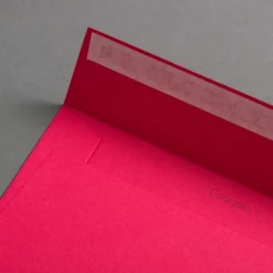 Colorplan Briefumschläge DIN lang Flamingopink