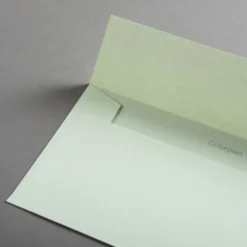 Colorplan Briefumschläge DIN lang Pistaziengrün