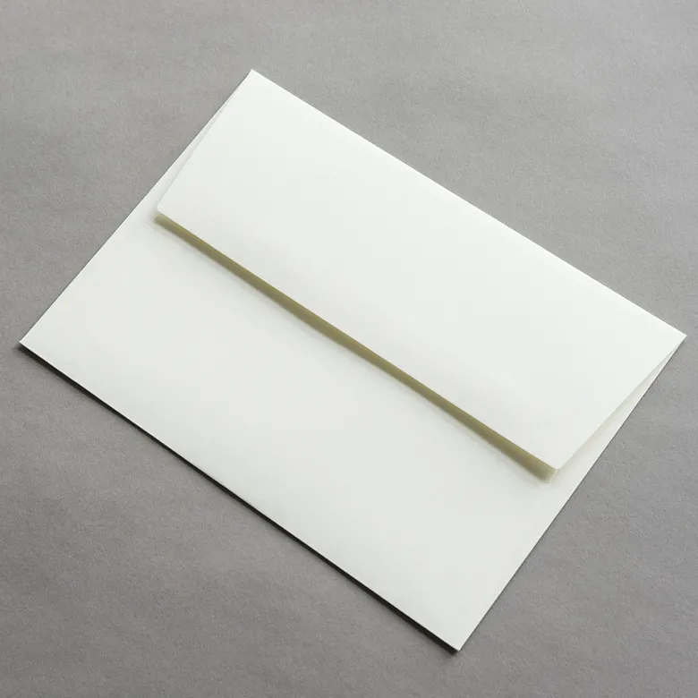 Colorplan Briefumschläge DIN C5 Natur