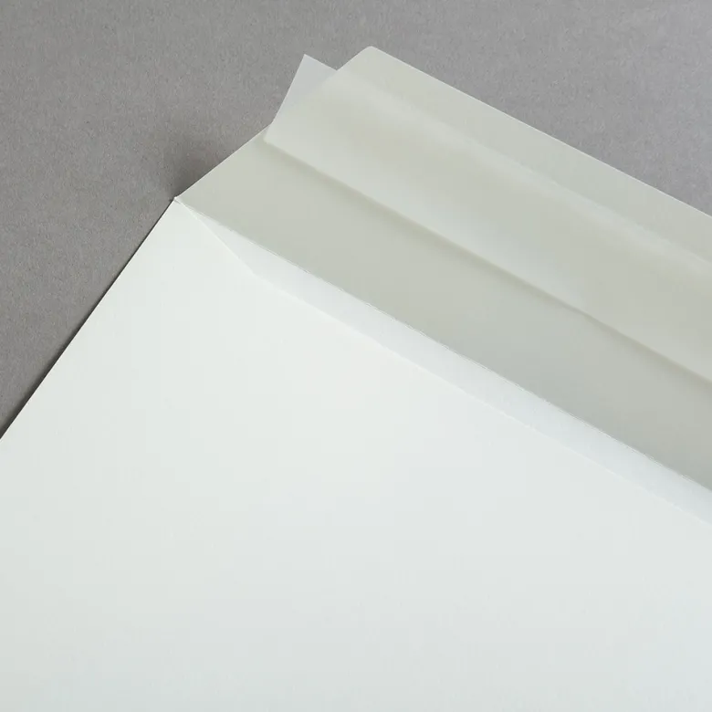Colorplan Briefumschläge DIN C4 Natur