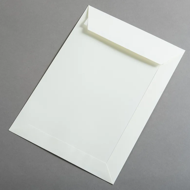 Colorplan Briefumschläge DIN C4 Natur