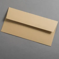 Colorplan Briefumschläge DIN lang Cappuccino