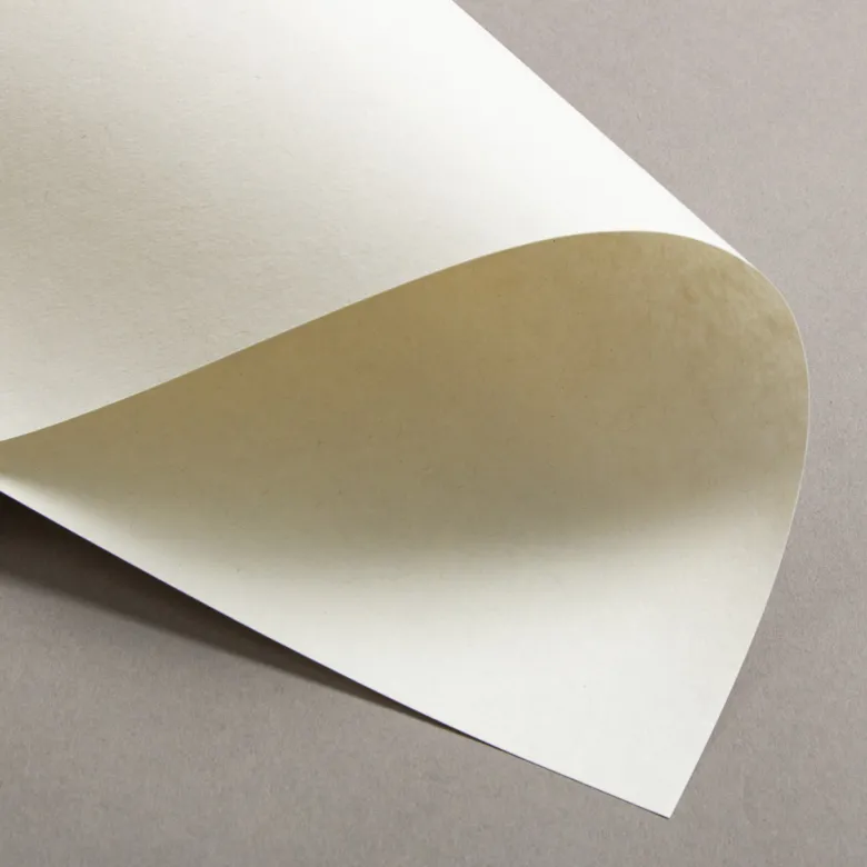 Colorplan Extracted Kalk Weiß 270 g