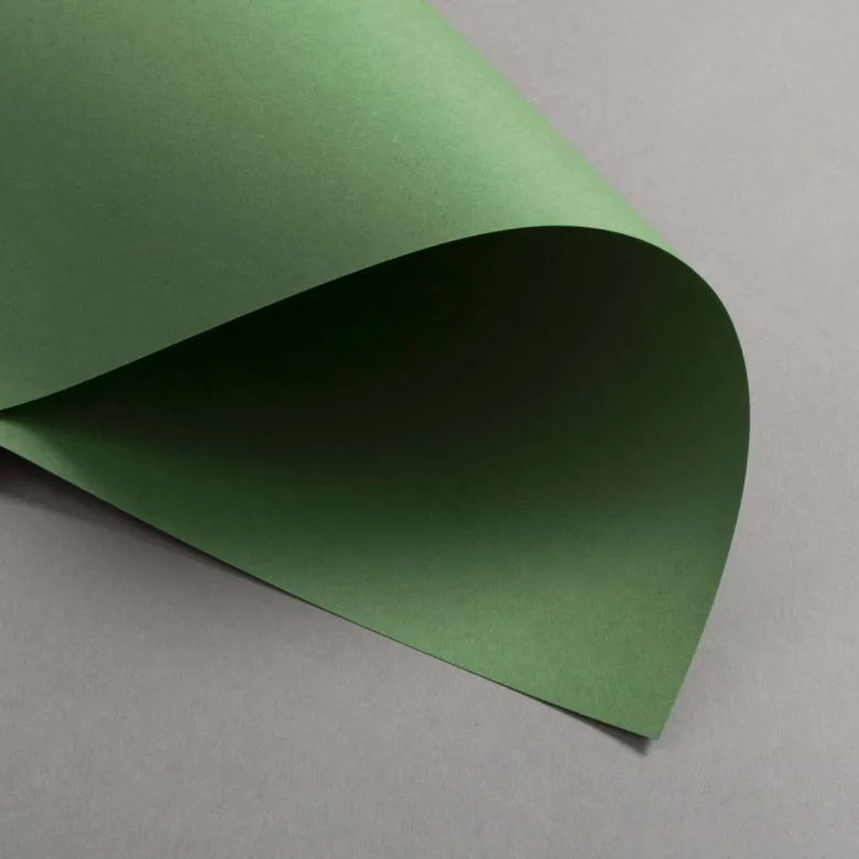 Colorplan Extracted Matcha Grün 270 g