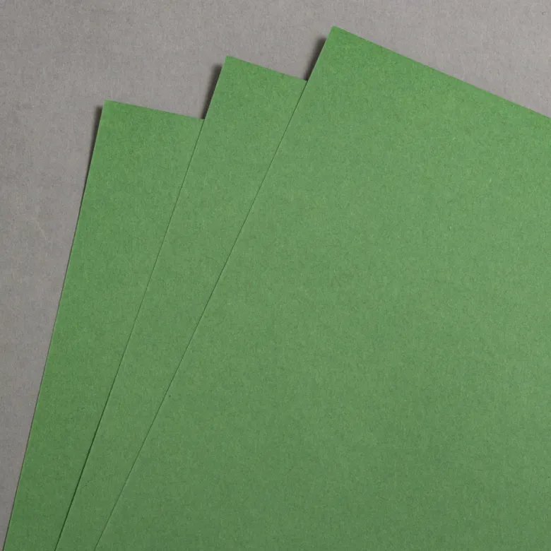 Colorplan Extracted Matcha Grün 270 g