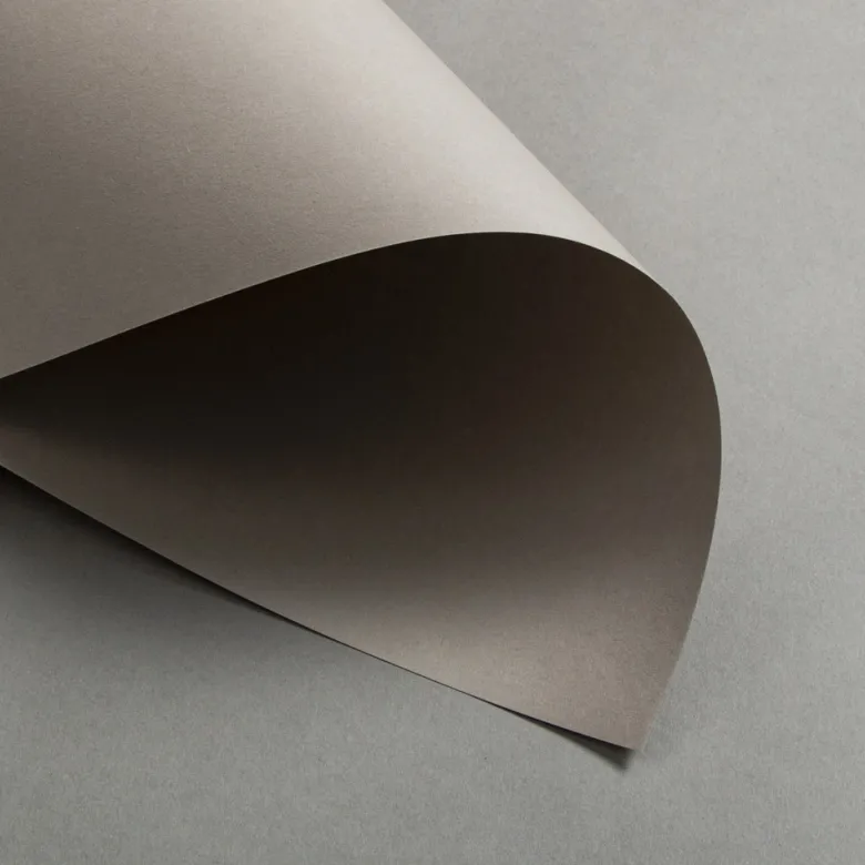 Colorplan Extracted Taupe 270 g DIN A4