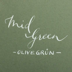 Colorplan 270 g/m² DIN A4 Olivgrün