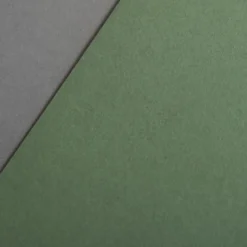 Colorplan 270 g/m² DIN A4 Olivgrün