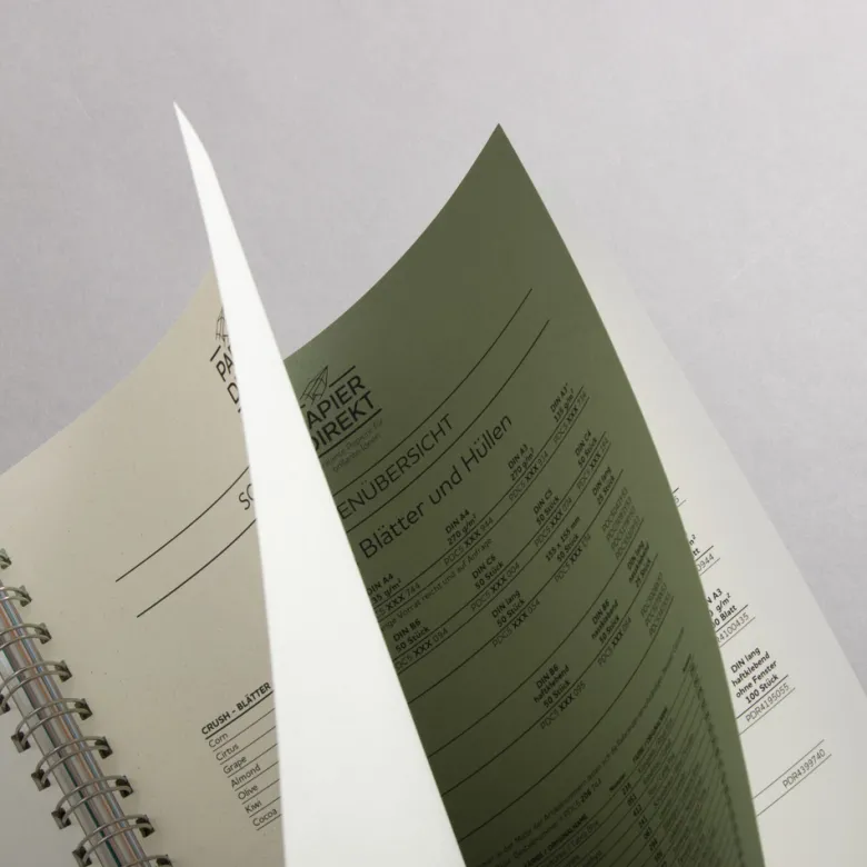 Das Papierbuch 12