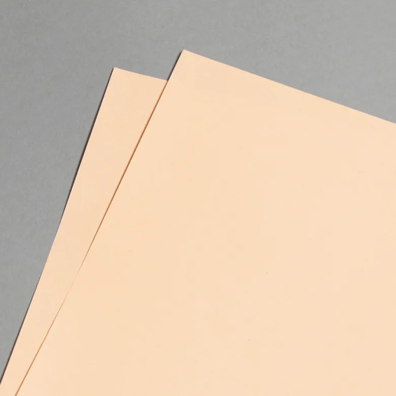 EVERCOLOR Lachs DIN A3 80 g
