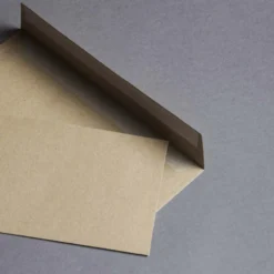 Kraftpapier Muskat Briefumschläge DIN lang haftklebend