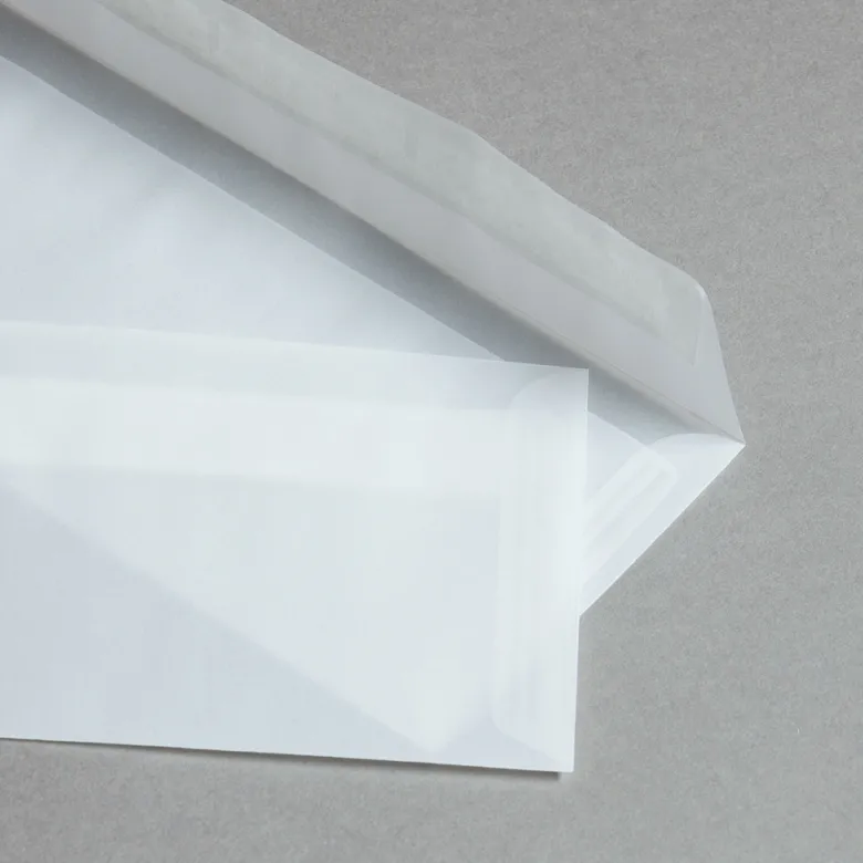 Lucida Transparent Klar Briefumschläge DIN lang